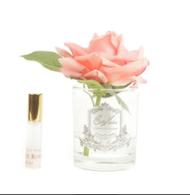 Load image into Gallery viewer, Cote Noire Single Rose - White Peach