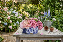 Load image into Gallery viewer, CHINOISERIE HYDRANGEA - PINK
